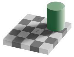 Optische illusie